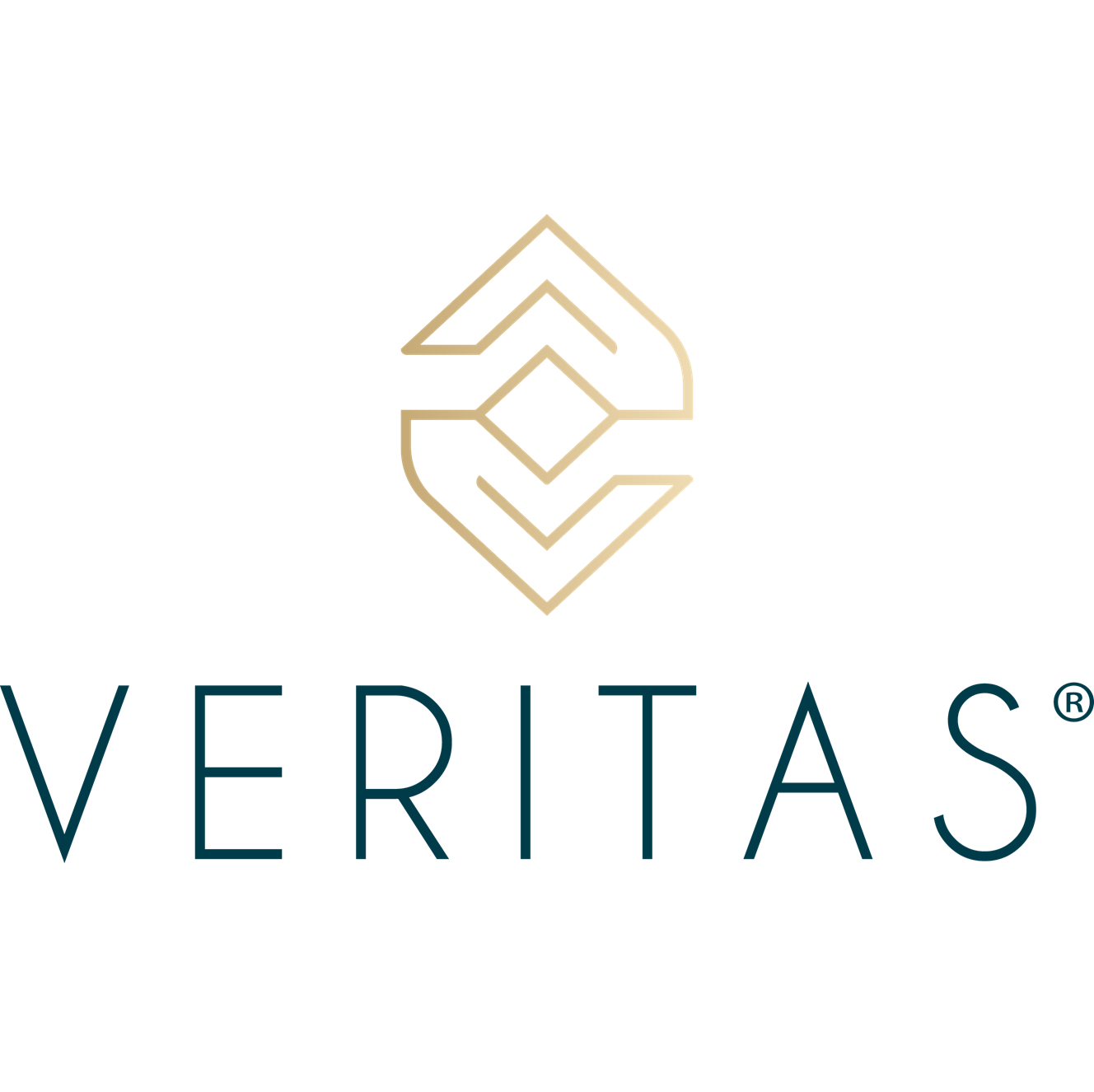 Veritas Consultoria Empresarial